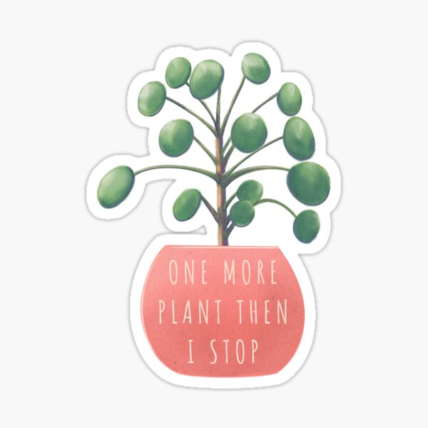 One more plant then I stop - pilea peperomioides version Sticker