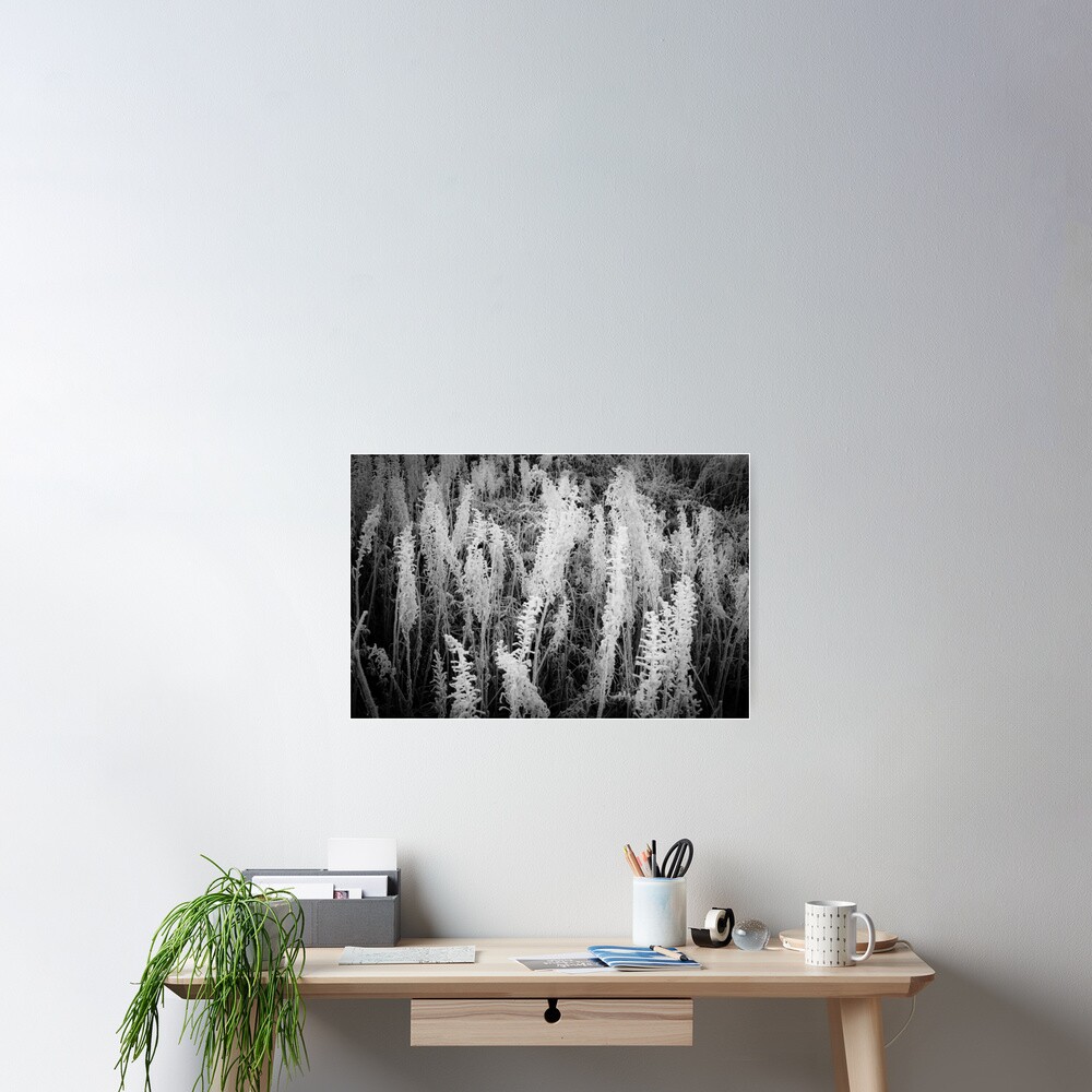 Frosty monochrome Poster
