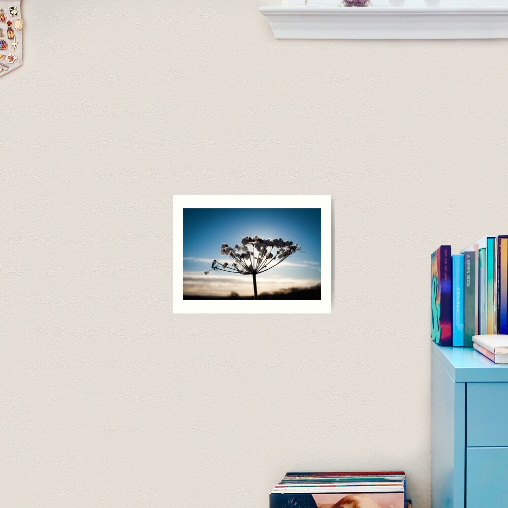 Winter scene Art Print