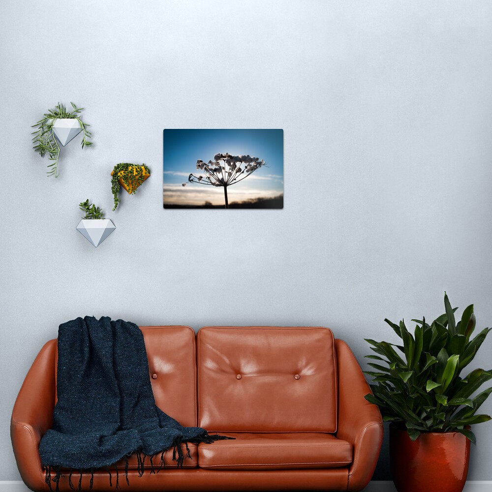 Winter scene Metal Print