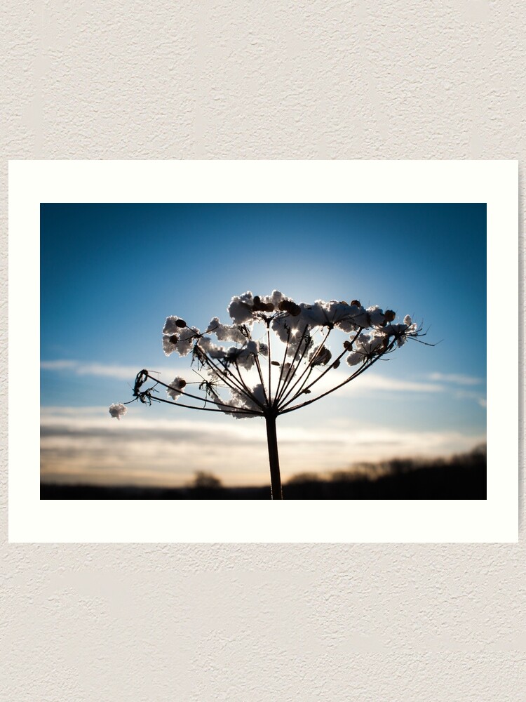 Alternate view of Winter scene Art Print