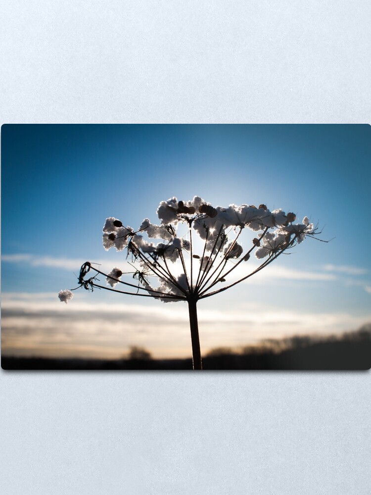 Alternate view of Winter scene Metal Print