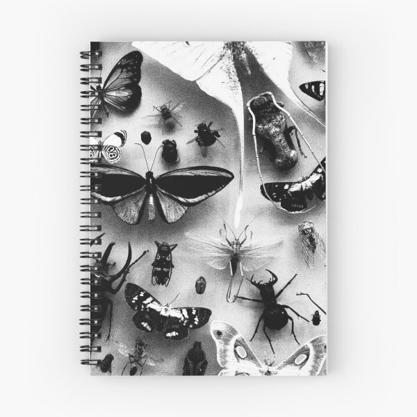 Aperçu de l'œuvre Entomologie 4 créée et vendue par Chloé Sauvage.