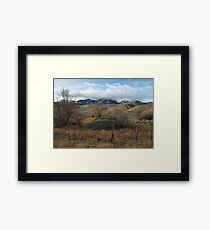 Brush with Greatness Framed Print
