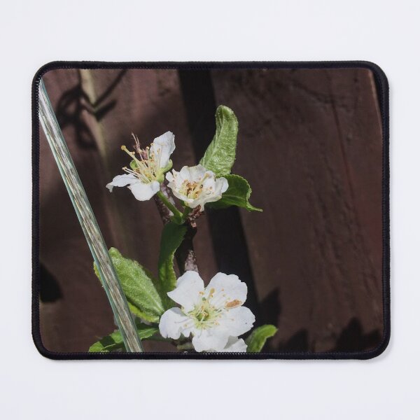 Item preview, Illuminate designed and sold by SnappedbyRivka.
