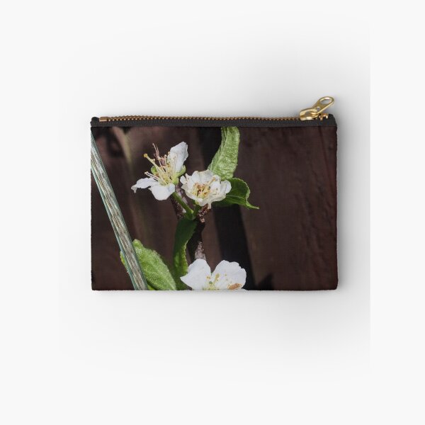 Item preview, Illuminate designed and sold by SnappedbyRivka.