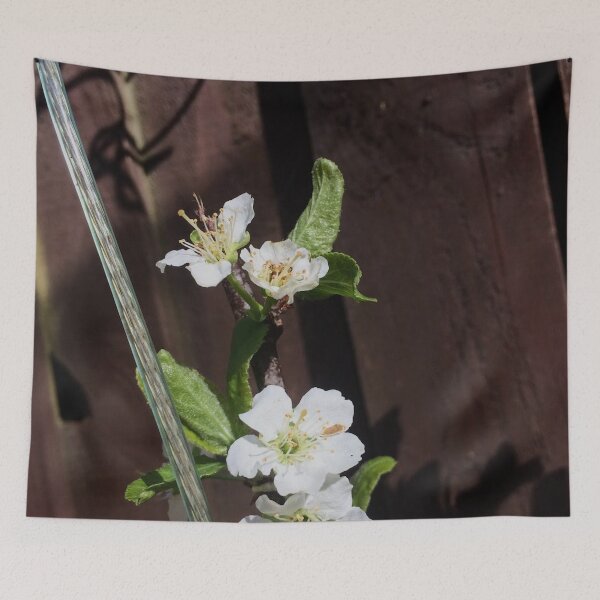 Item preview, Illuminate designed and sold by SnappedbyRivka.