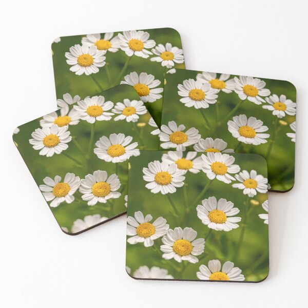 Item preview, Feverfew Flowers designed and sold by PhotosByFelix.