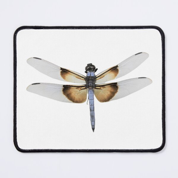 Item preview, Widow skimmer Dragonfly from Arizona, Libellula luctuosa designed and sold by bromsbugbox.