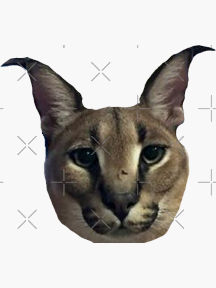 Big Floppa Meme Cat Sticker