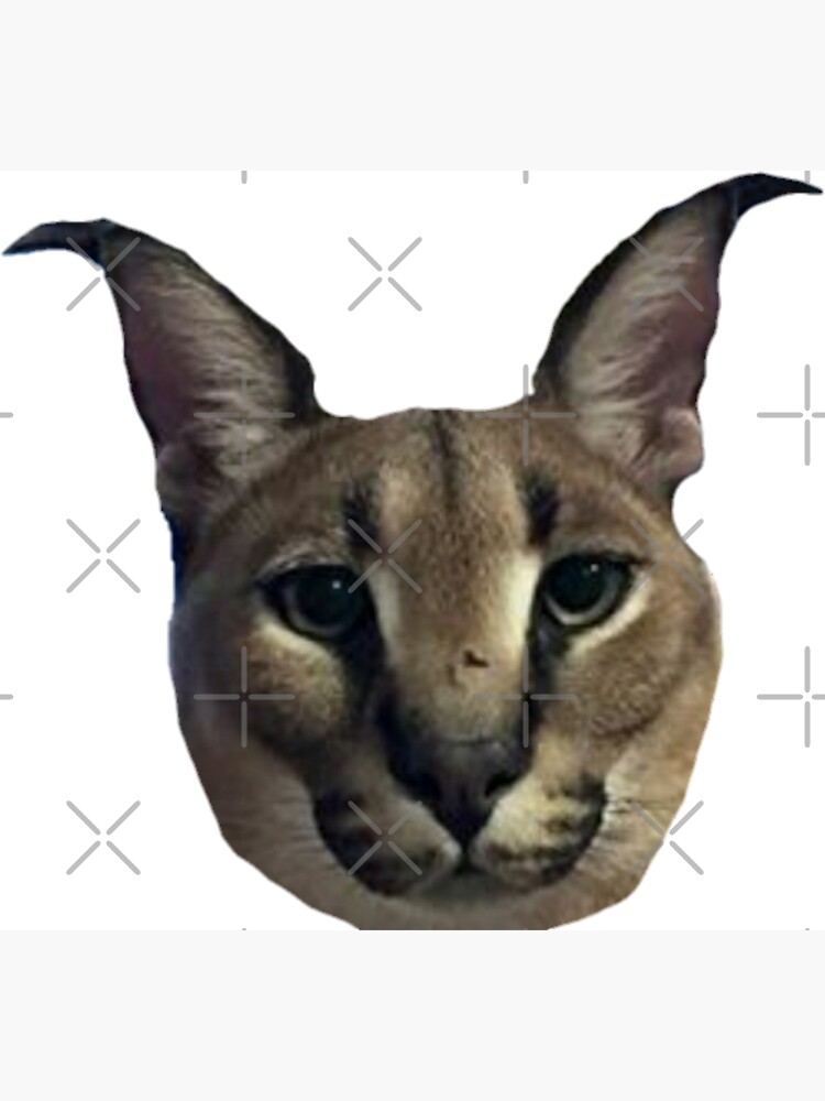 Cursed Cats on X: Floppa is in your walls  / X