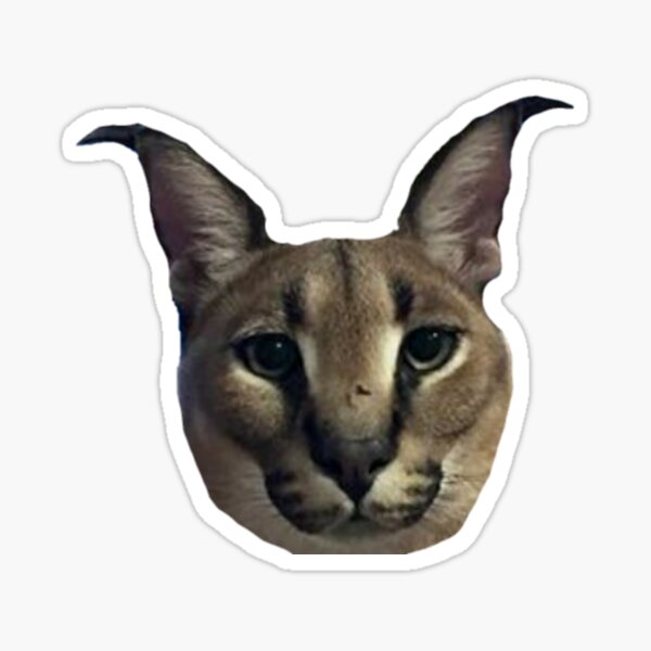 CHAD FLOPPA CAT \ CARACALS \  Sticker for Sale by Mad-Boy