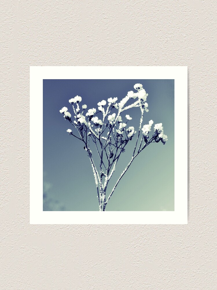Alternate view of Winter scene Art Print