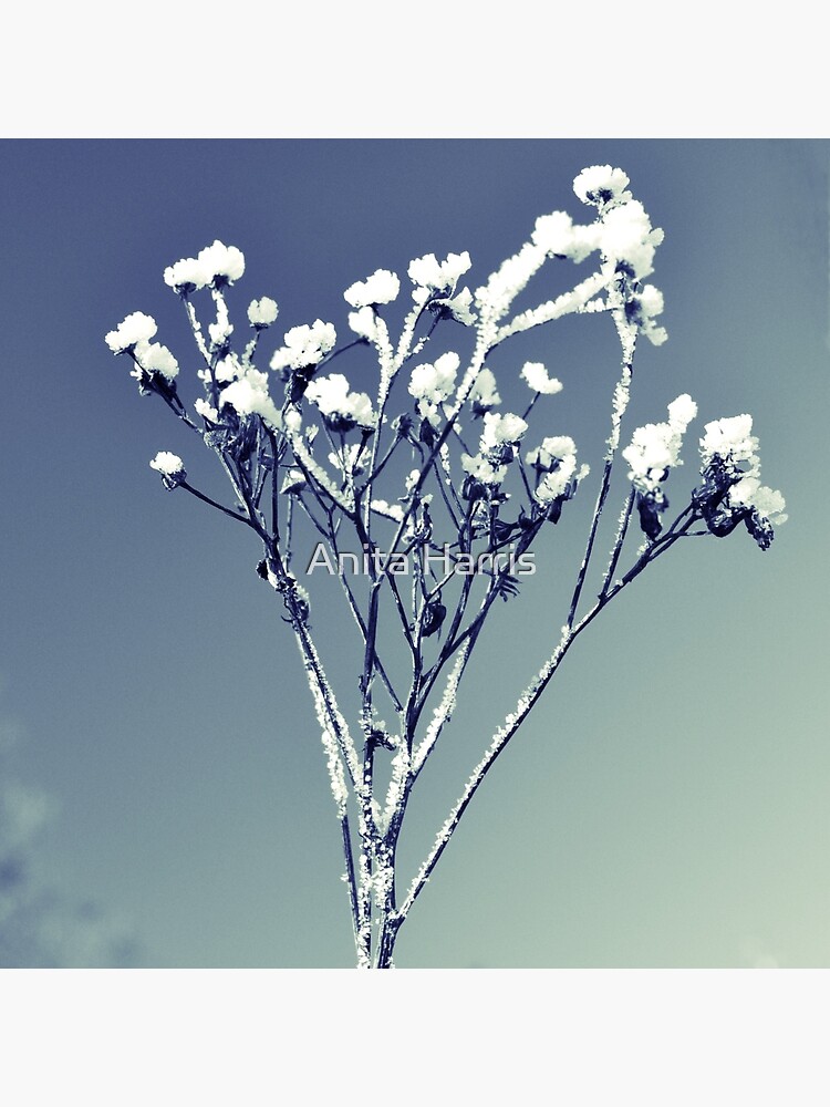 Winter scene by plasticflower