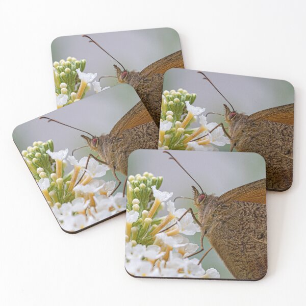 Item preview, Butterfly On A Buddleia Bush designed and sold by PhotosByFelix.