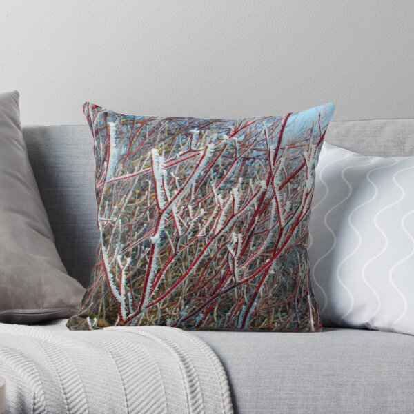 Winter scene Throw Pillow