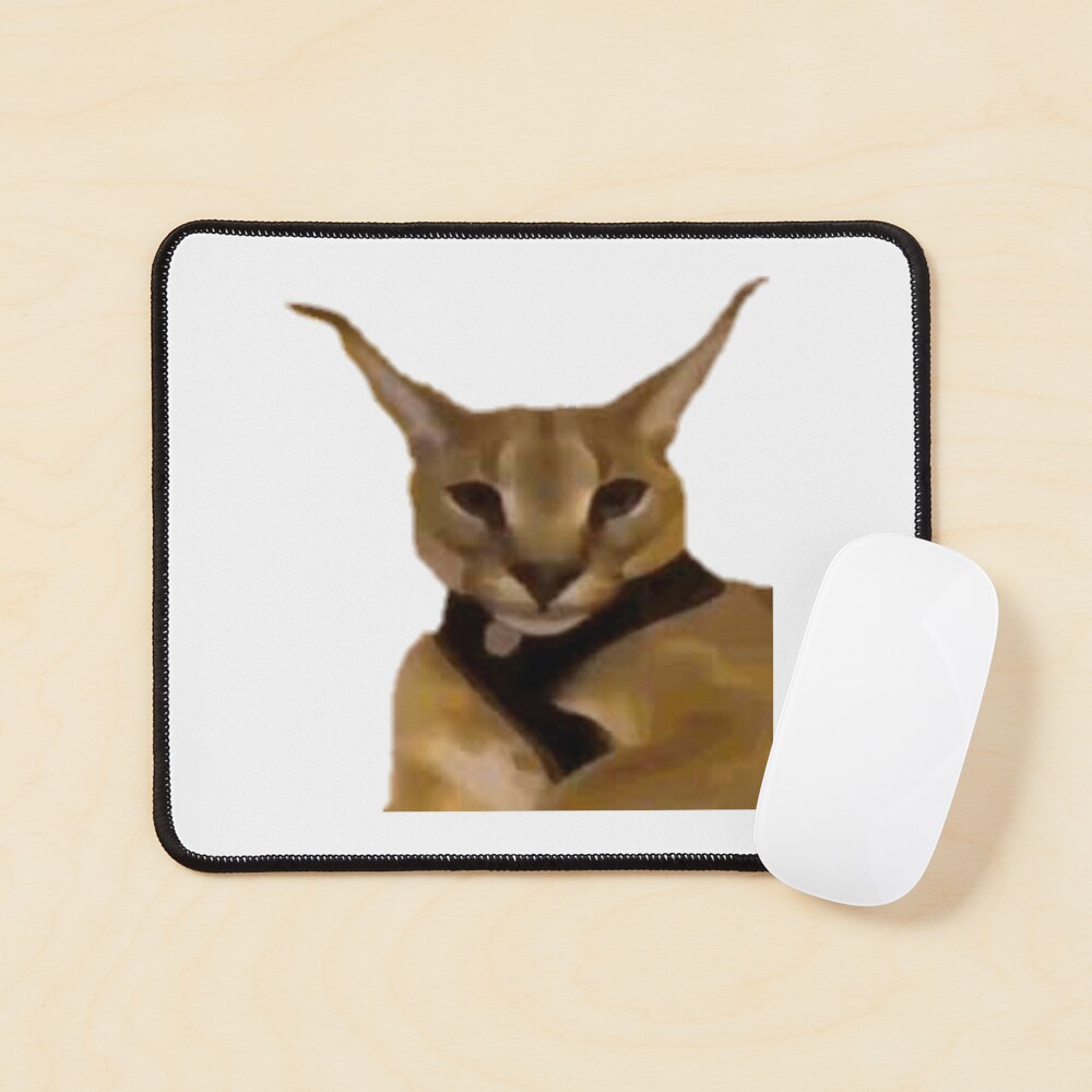 190 Big Floppa ideas in 2023  caracal cat, caracal, cat memes