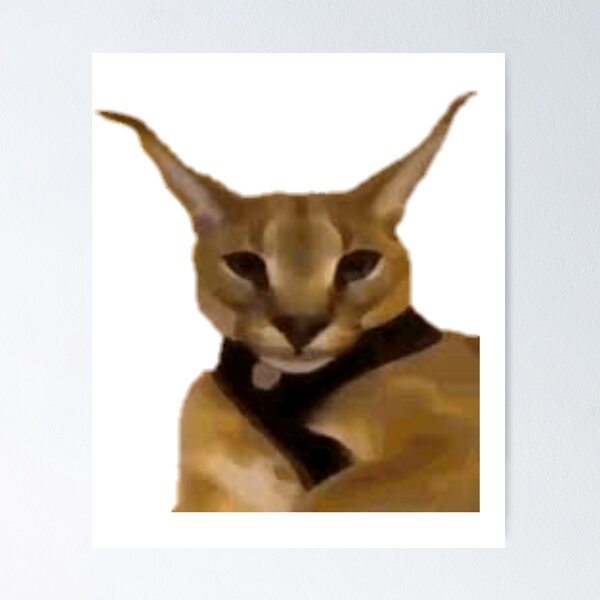 190 Big Floppa ideas in 2023  caracal cat, caracal, cat memes