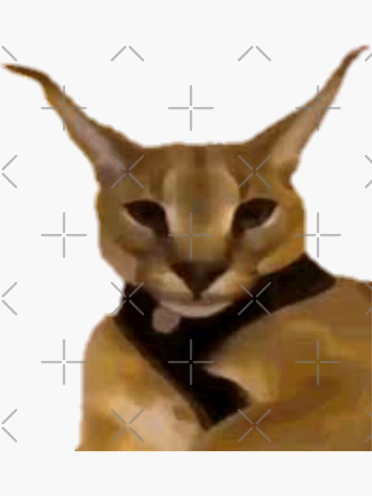 CHAD FLOPPA CAT \ CARACALS \  Sticker for Sale by Mad-Boy