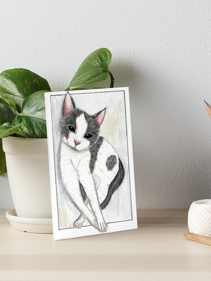 Black and white kitty in coloured pencils