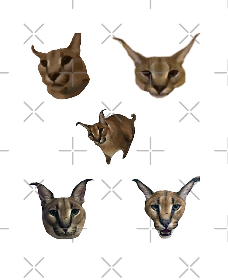 Drunk Floppa Meme Caracal Cat | iPad Case & Skin