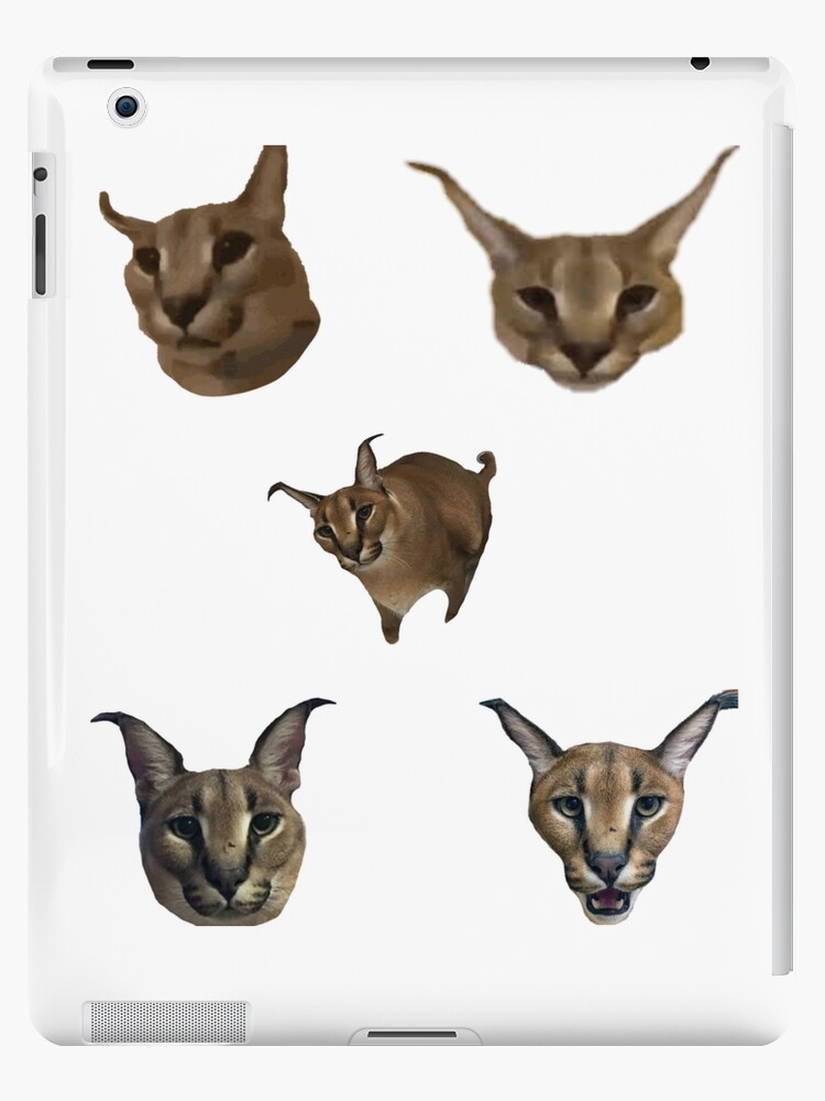 FLOPPA CAT \ CARACALS / GOOD AT MATH | iPad Case & Skin