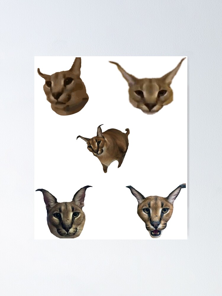 Big floppa sticker pack cat meme | Poster