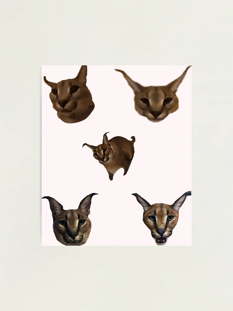  4” Floppa Sticker Big Cat Lynx Punk Goth Art Skate Cat Wild  Cool Morph Meme : Everything Else