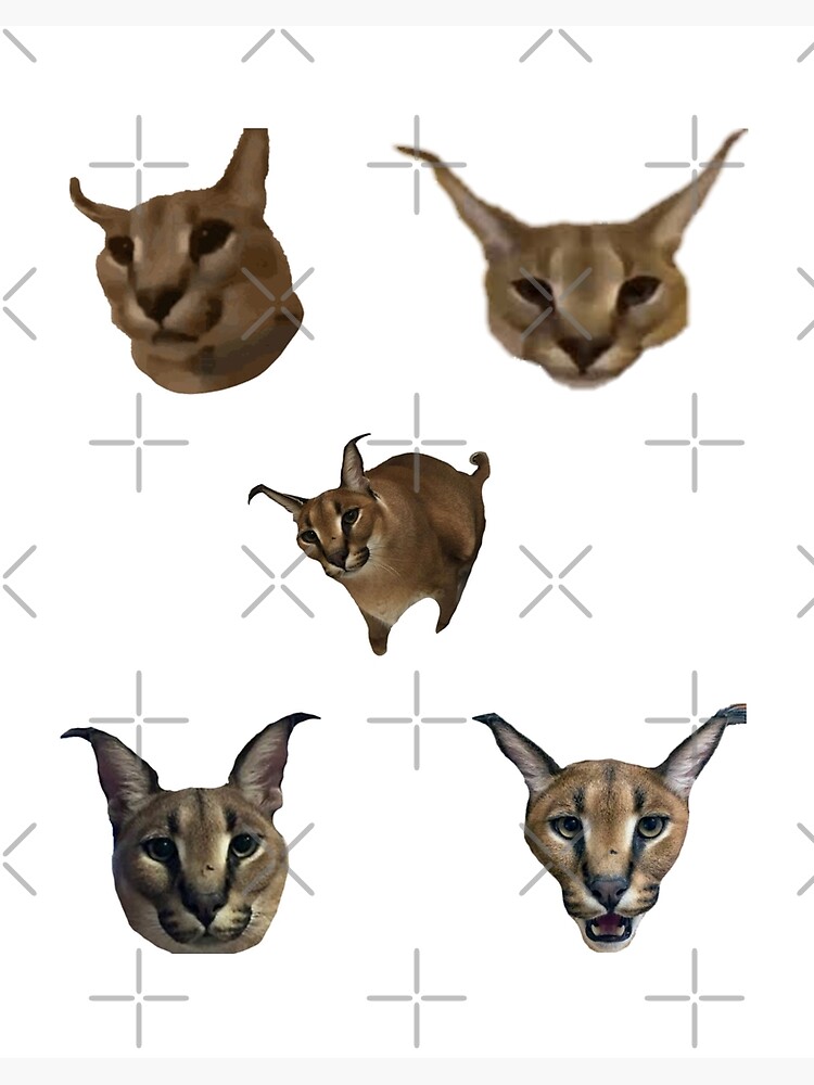 Drunk Floppa Meme Caracal Cat | Greeting Card