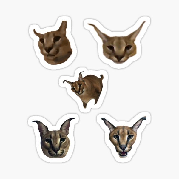 Big Floppa - Caracal meme cat / fat floppa / cursed floppa | Art Board Print