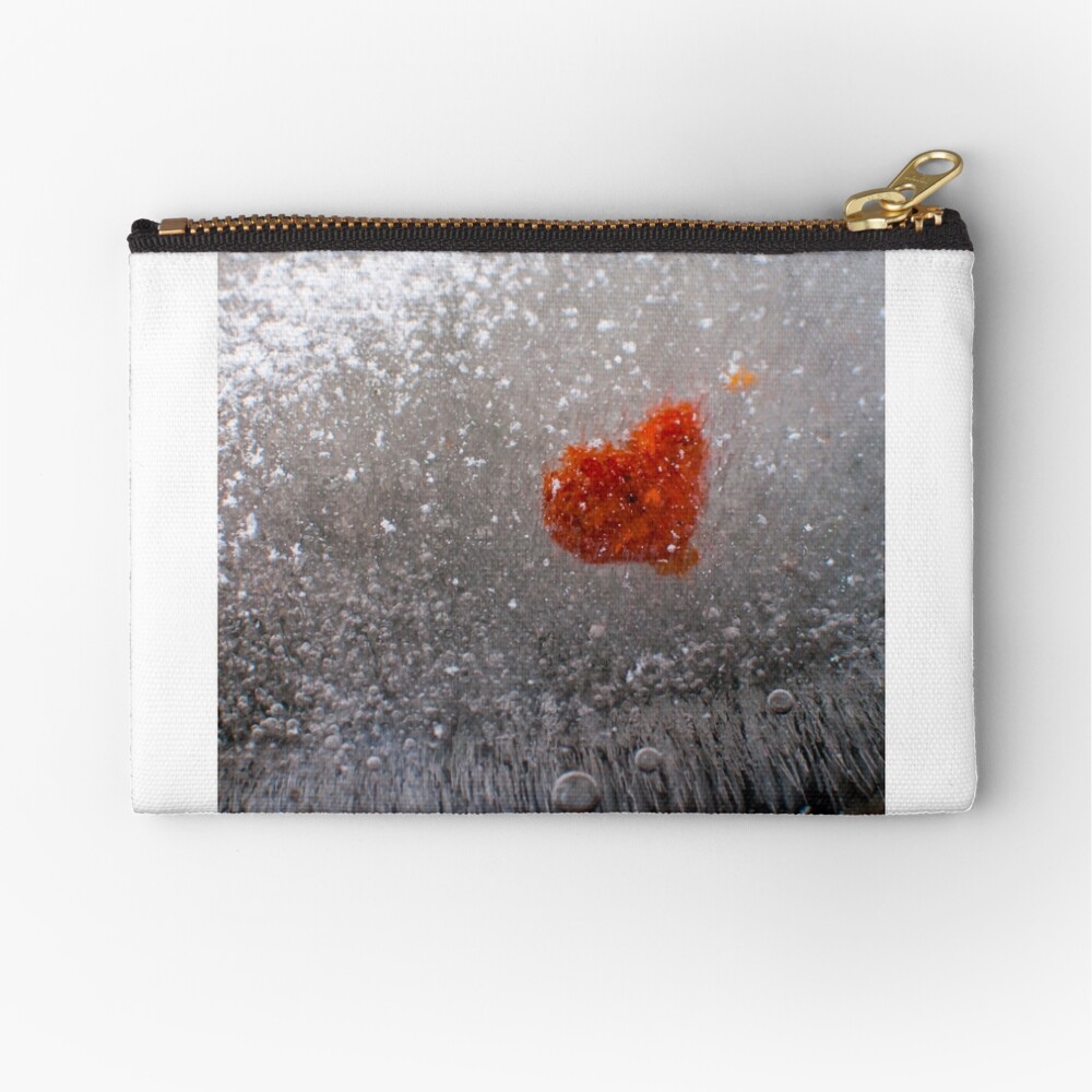 Frozen Heart Zipper Pouch