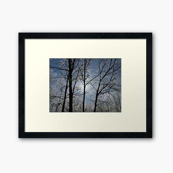 Mother Nature's Crystals Framed Art Print