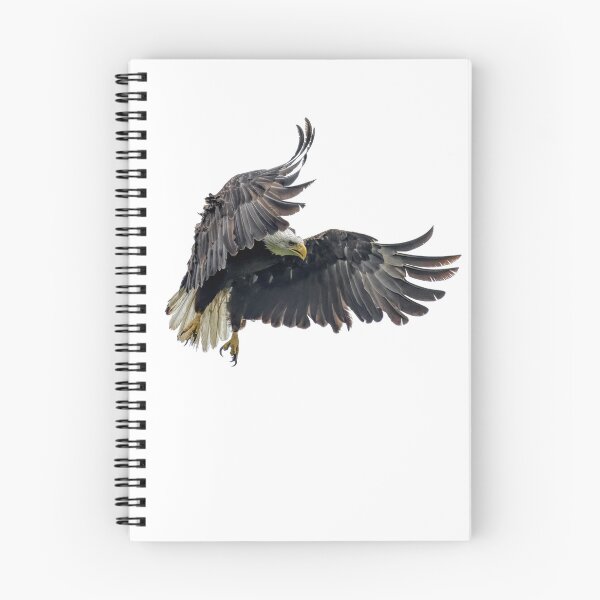 Item preview, Bald eagle designed and sold by The Sleepy Monito.