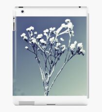 Winter scene iPad Case/Skin