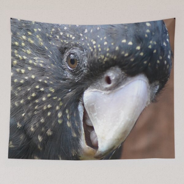 Item preview, Do you have a cracker? designed and sold by lizdomett.