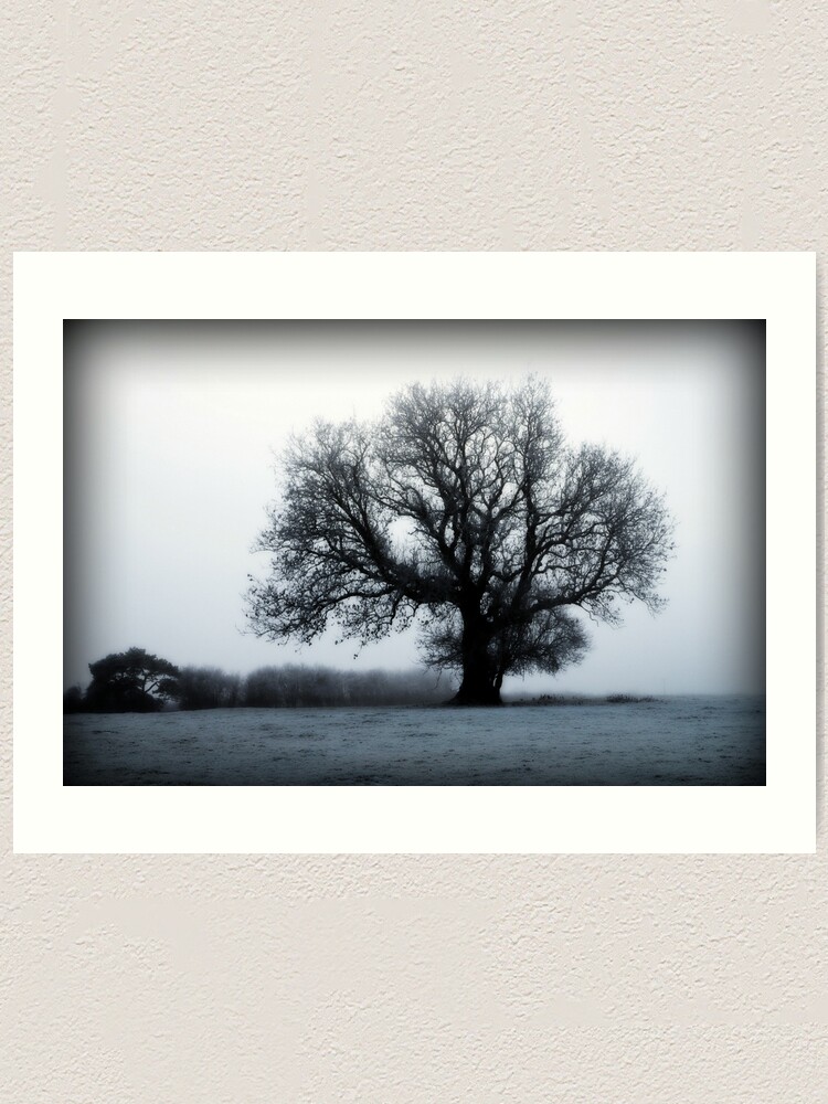 Alternate view of Winter Tree Art Print