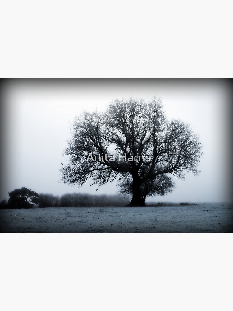 Winter Tree by plasticflower