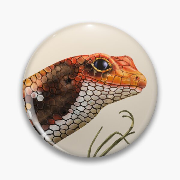 Item preview, Bright yellow, red, and orange African Fire skink, fire kink, togo skink, on a mossy rock with ferns designed and sold by Nick Garnhart.
