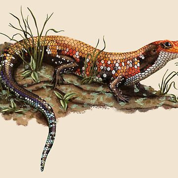Artwork thumbnail, Bright yellow, red, and orange African Fire skink, fire kink, togo skink, on a mossy rock with ferns by Nick Garnhart