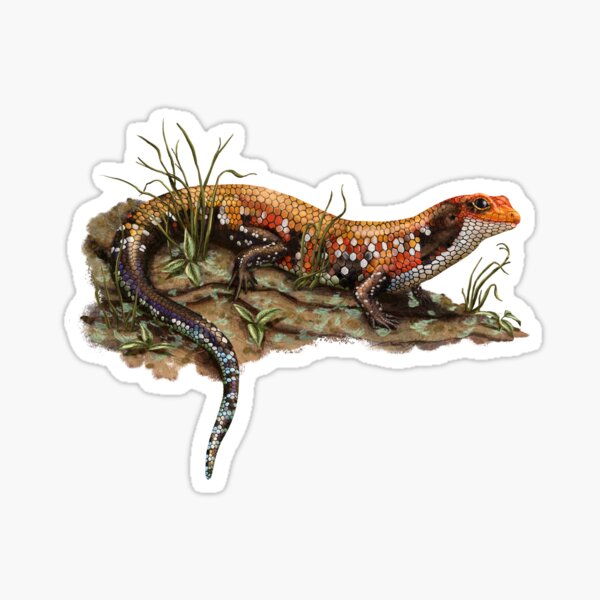 Item preview, Bright yellow, red, and orange African Fire skink, fire kink, togo skink, on a mossy rock with ferns designed and sold by Nick Garnhart.