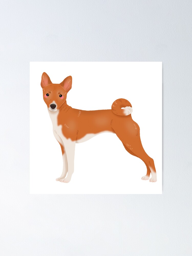 Cute basenji sales