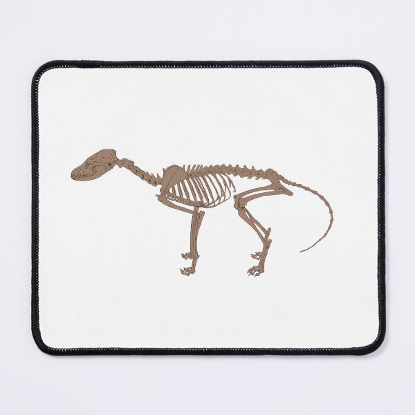 Item preview, Fox Skeleton Fossilized designed and sold by Ashley Gagnon.