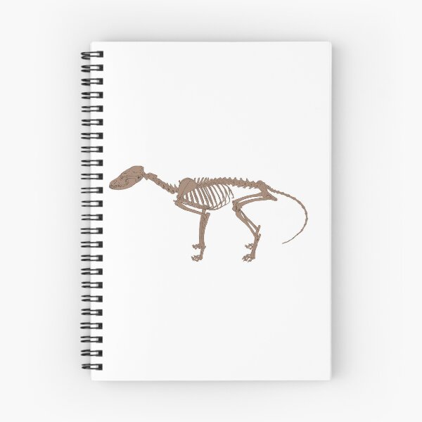 Item preview, Fox Skeleton Fossilized designed and sold by Ashley Gagnon.