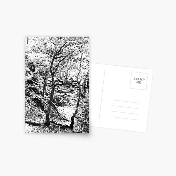 Brocéliande Postcard