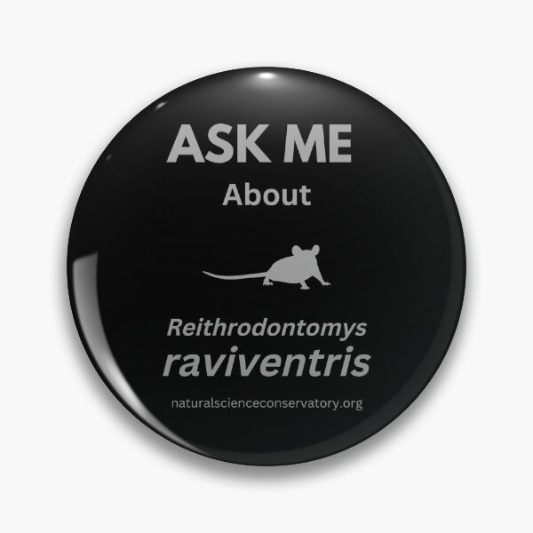 Item preview, Ask Me About Reithrodontomys raviventris (Salt Marsh Harvest Mouse) designed and sold by Discovered.