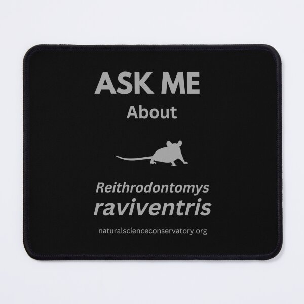 Item preview, Ask Me About Reithrodontomys raviventris (Salt Marsh Harvest Mouse) designed and sold by Discovered.
