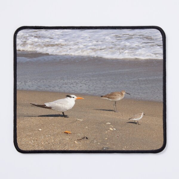 Item preview, Three birds on the beach designed and sold by Jmb67.