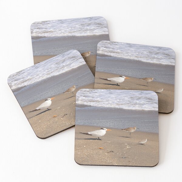 Item preview, Three birds on the beach designed and sold by Jmb67.