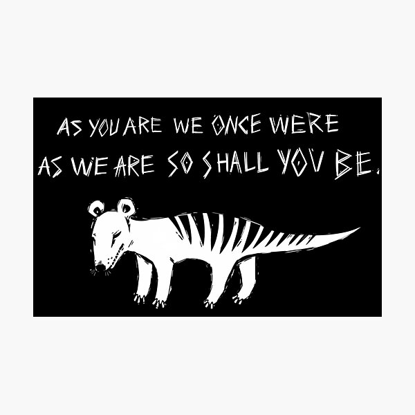Thylacine Photographic Print