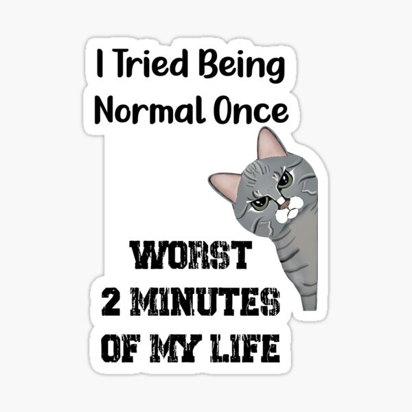 Annoyed Cat - I Tried Being Normal Once Worst Two Minutes Of My Life - Astonished Cat Company - Gift For Cat Lovers Sticker